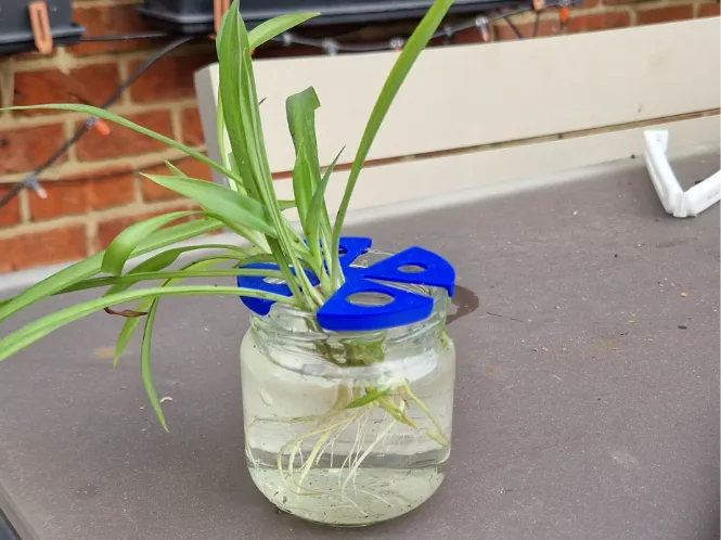 Open ended plant propagation cover