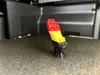 Belgium