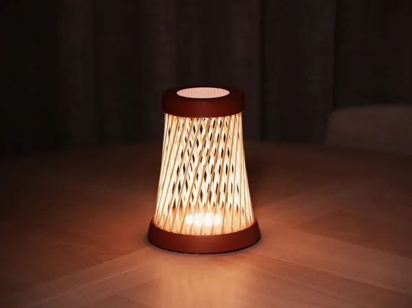https://makerworld.bblmw.com/makerworld/model/US390203220fd864/design/828acb4167eace23.jpg