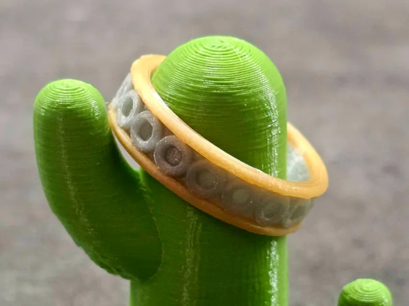 Ring (2)