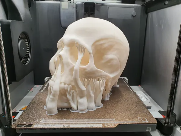 https://makerworld.bblmw.com/makerworld/model/US39026f4d50900f/design/2024-03-25_766cdea190b8e.jpg