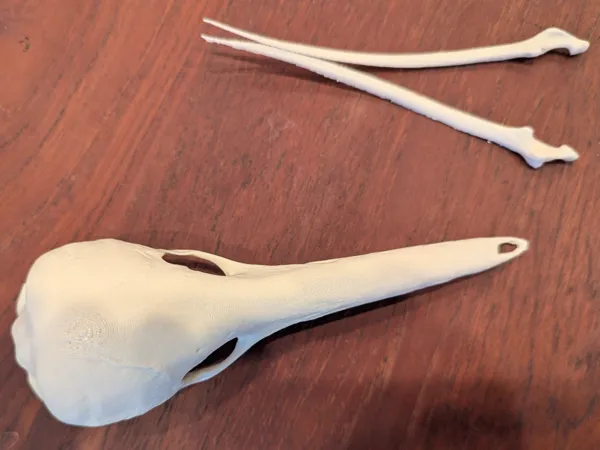https://makerworld.bblmw.com/makerworld/model/US390361f5653672/design/2025-08-31_4c3721fac85178.jpg