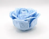Crystal Rose, 0.16mm layer, 3 walls, 10% infill