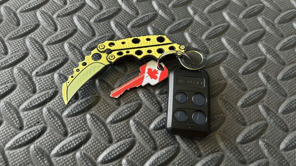 https://makerworld.bblmw.com/makerworld/model/US3906b8794074dc/design/2024-12-10_d048c674d7c358.gif