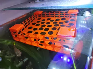鱼缸小鱼避险围栏