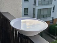 Fuzzy Skin Bowl - 190mm