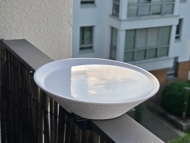 KISS: Bird Bath / Water Bowl