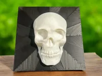 0.16mm layer, 2 walls, 15% infill