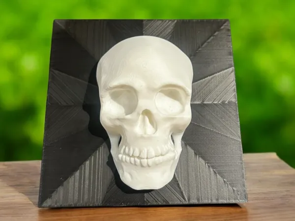 https://makerworld.bblmw.com/makerworld/model/US390ea649db98eb/design/2025-03-25_41fe445e05b7b.jpg