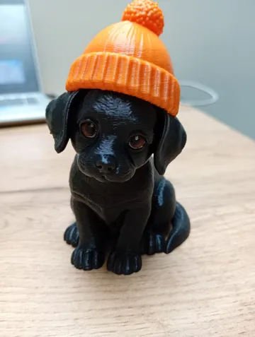 Estante o repisa: Halloween Puppy with Orange Beanie — vista de referencia 5