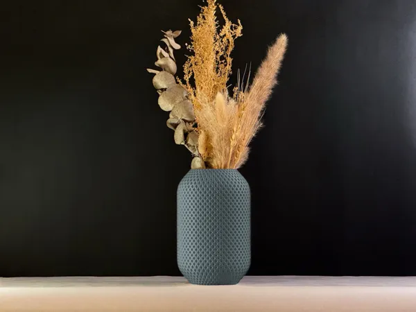 https://makerworld.bblmw.com/makerworld/model/US3914f0d38c6d93/design/2025-02-01_90595e4ddf02a.jpg