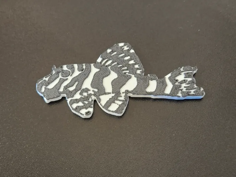 Leopard Frog Pleco
