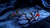 Thorns frame
