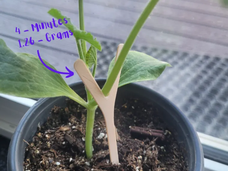 Plant Stem Holder 