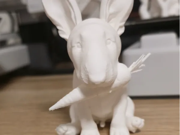https://makerworld.bblmw.com/makerworld/model/US39211429fc9779/design/75af7088e5877367.jpg