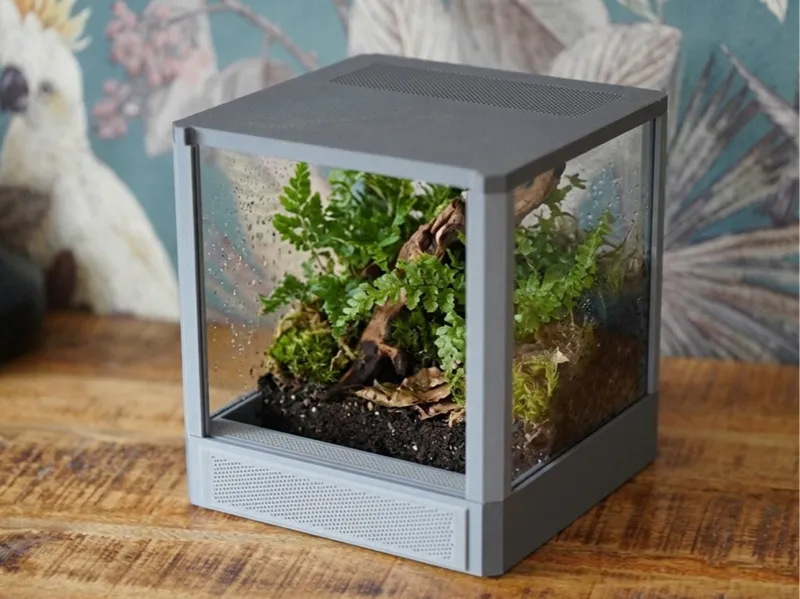 Terrarium for Jumping Spider -  7"x7"x7"