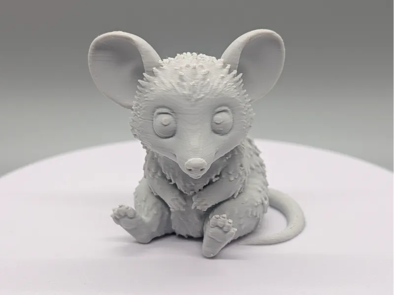 Baby Possum