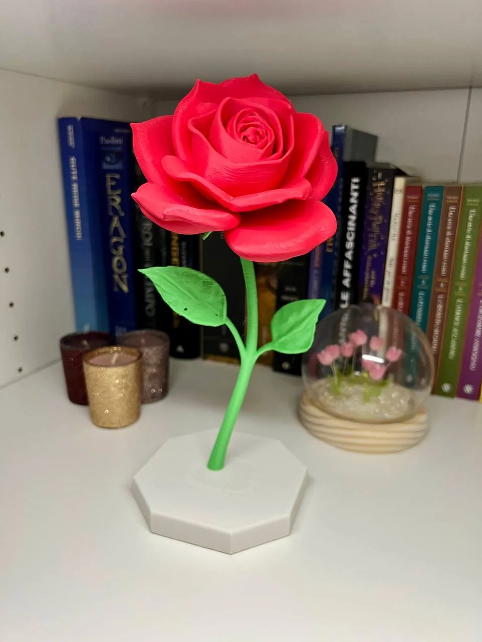 Rose view 2