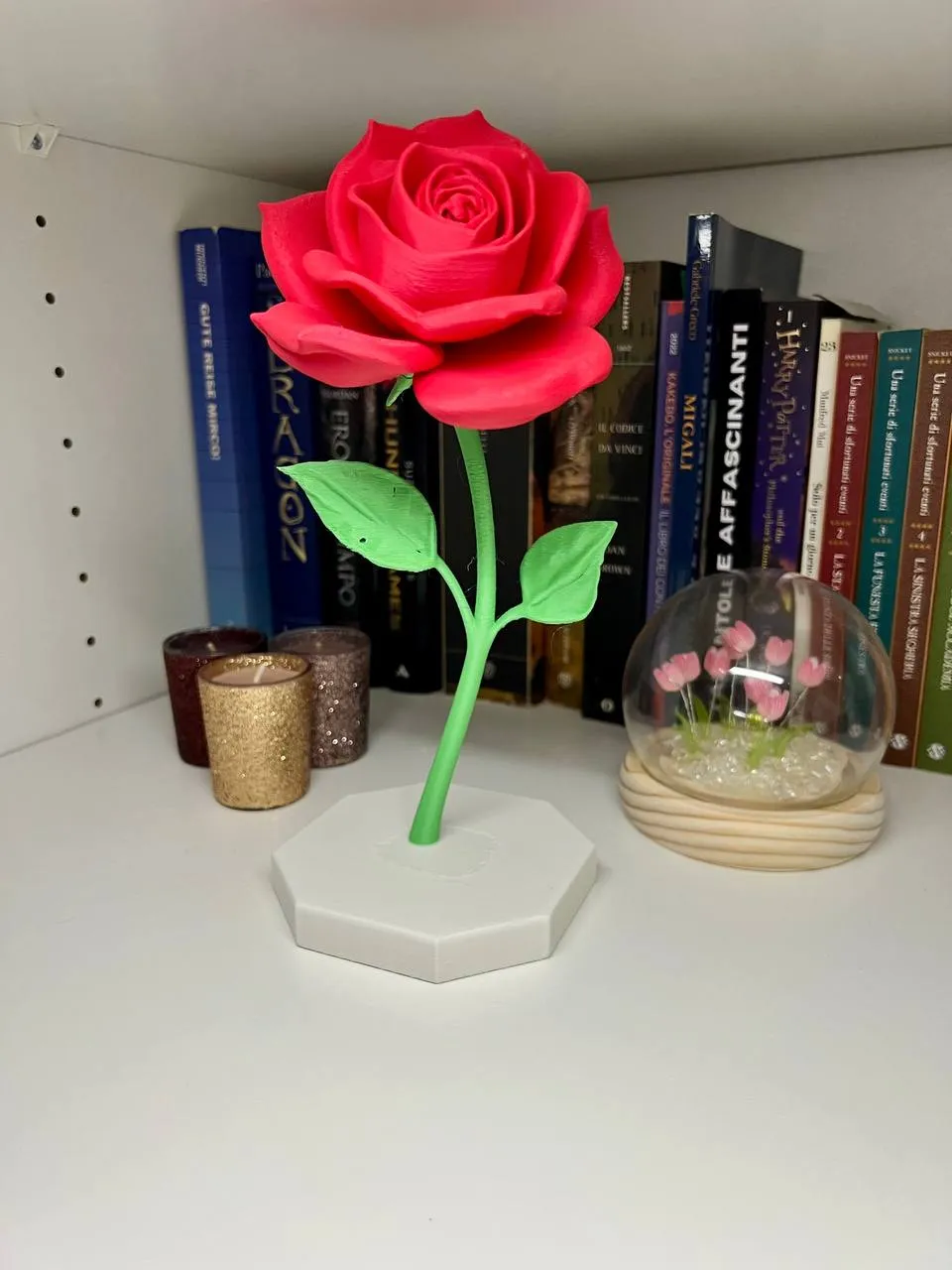Rose view 4