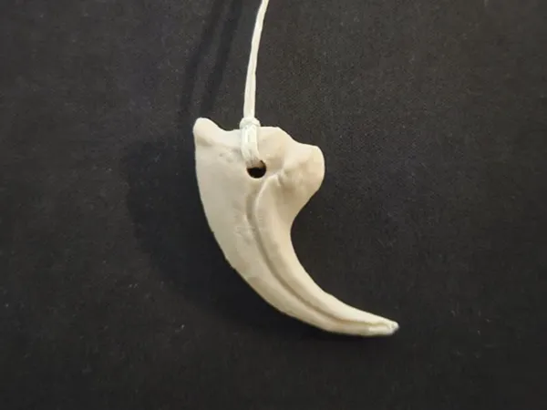 https://makerworld.bblmw.com/makerworld/model/US3924945f9be588/design/9d5f0a69151cd3c6.png