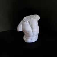 Torse du Gaddi — photo 3