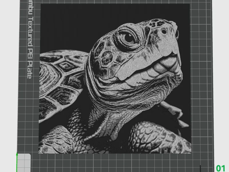TORTU 200X200