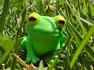 3DL Frog