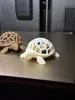Poop Turtle 70mm x 56mm with Pause for Poop