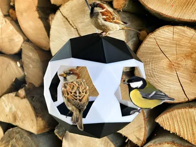 Bird feeder, bird house