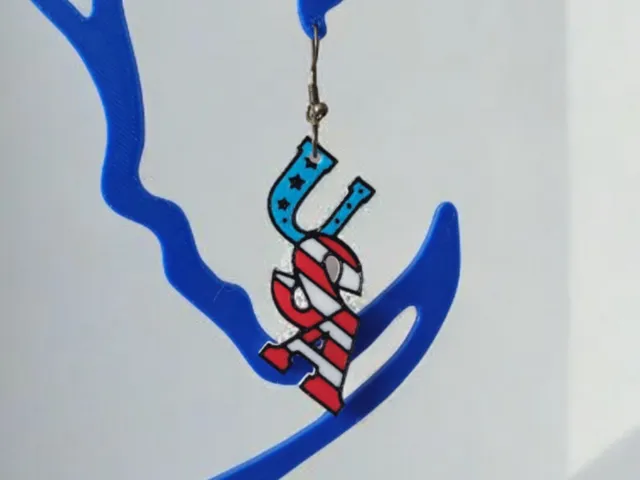 USA Letter Multicolor Earrings