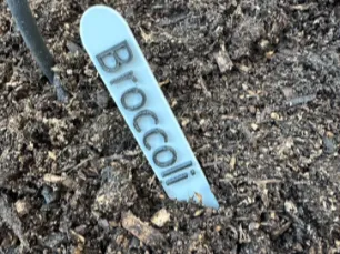 Minimalistic Plant Tag V.2