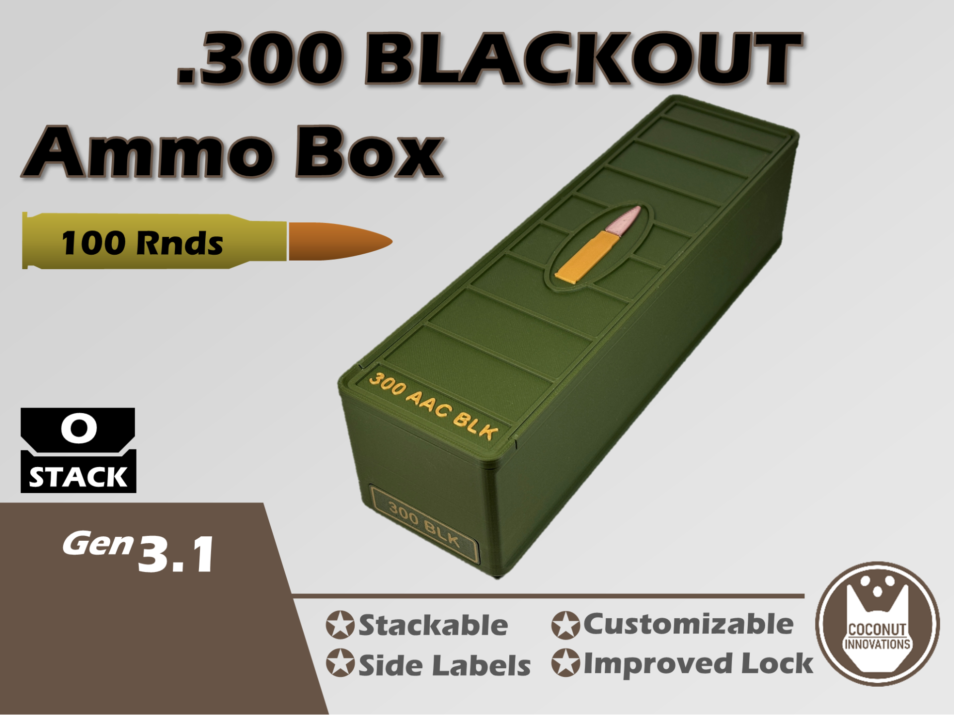 Ammo Storage Box 300 BLK 300 Blackout 100 Rounds