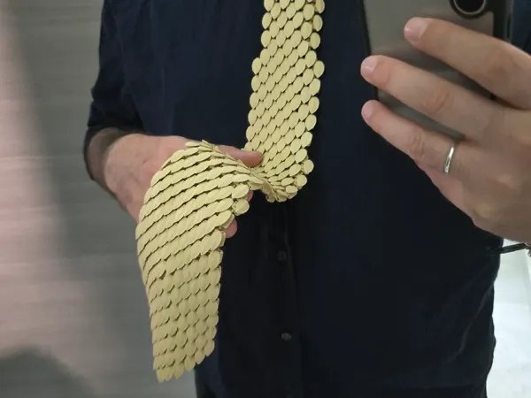 https://makerworld.bblmw.com/makerworld/model/US393e82e33bb87b/design/2024-11-09_2a9897276d212.webp