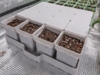 Seed starting system - 4x4 pots with lid