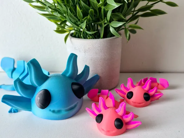 https://makerworld.bblmw.com/makerworld/model/US39455fa4e0dc1e/design/2025-01-31_8a6dd799144d8.jpg
