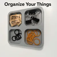All Organizers 