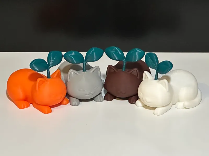 Sprout Cats