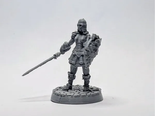 https://makerworld.bblmw.com/makerworld/model/US3953873fd5adc1/design/2025-06-02_69fa347e31403.jpeg