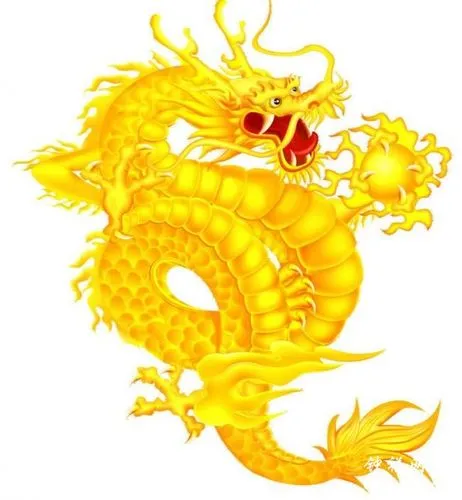 龙