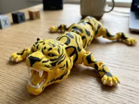 3 color AMS 25 cm