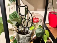 Tuteur pour plantes, thème chat — photo 1