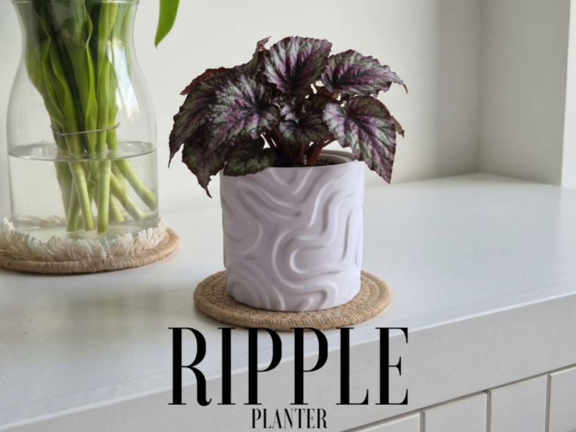 Ripple Planter | Modern Wavy Plant Pot Cover