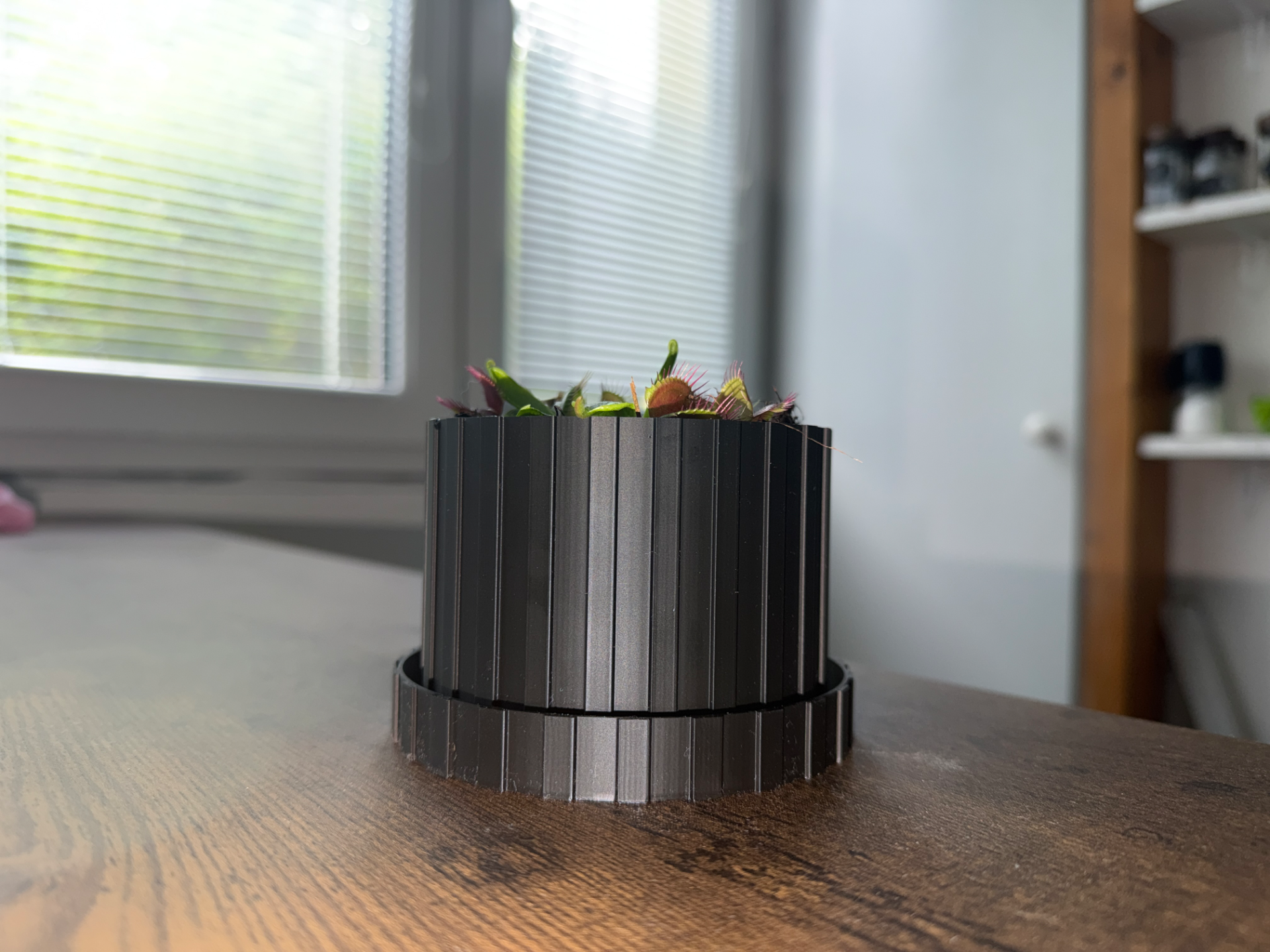 Small flower pot for plants / No AMS