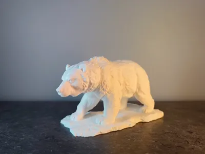 Wild Bear