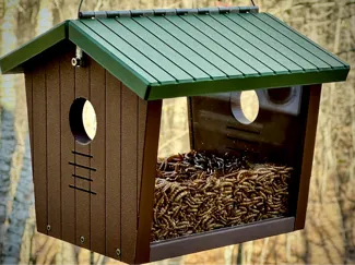 Bluebird Mealworm Feeder