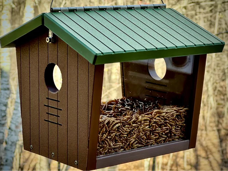 Bluebird Mealworm Feeder