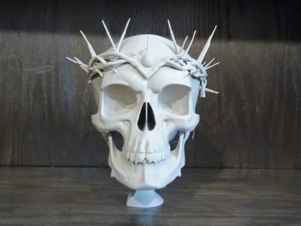 https://makerworld.bblmw.com/makerworld/model/US39774833813b85/design/2025-05-22_ce3ccbfe34eab.jpg