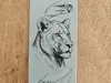 0.08mm layer, 2 walls, 100% infill