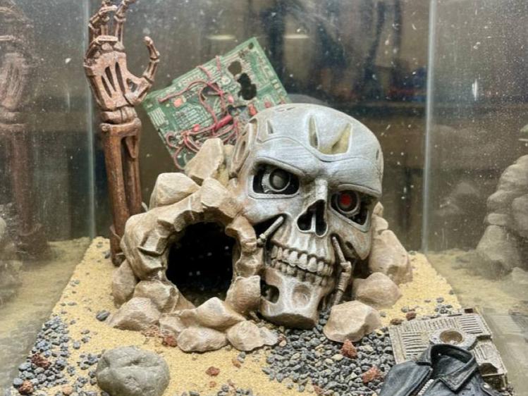 Terminator Versteck