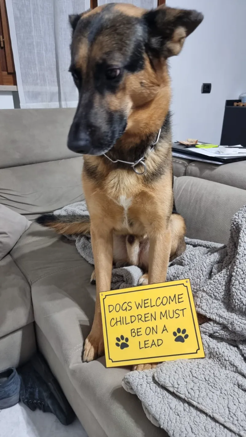 Dog Sign animal lover (Dog Sign)